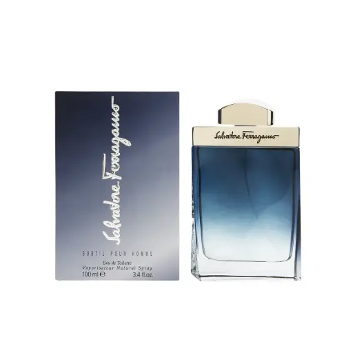 [8032529110146] FERRAGAMO SUBTIL POUR HOMME MEN EDT 100ML 